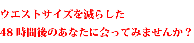 ウエストサイズを減らした２４時間後のあなたに会ってみませんか？