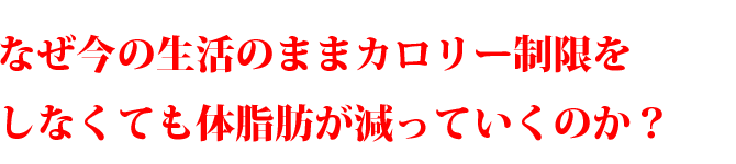 なぜ今の生活のままカロリー制限をしなくても体脂肪が減っていくのか？