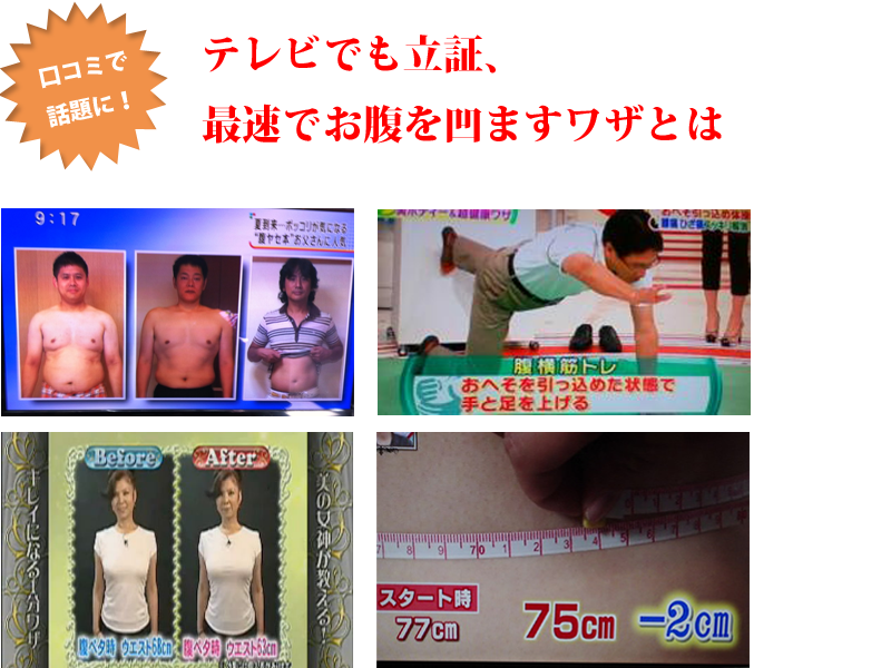 「たけしのニッポンのミカタ」ダイエットはがんばるな！？」、「試してガッテン」